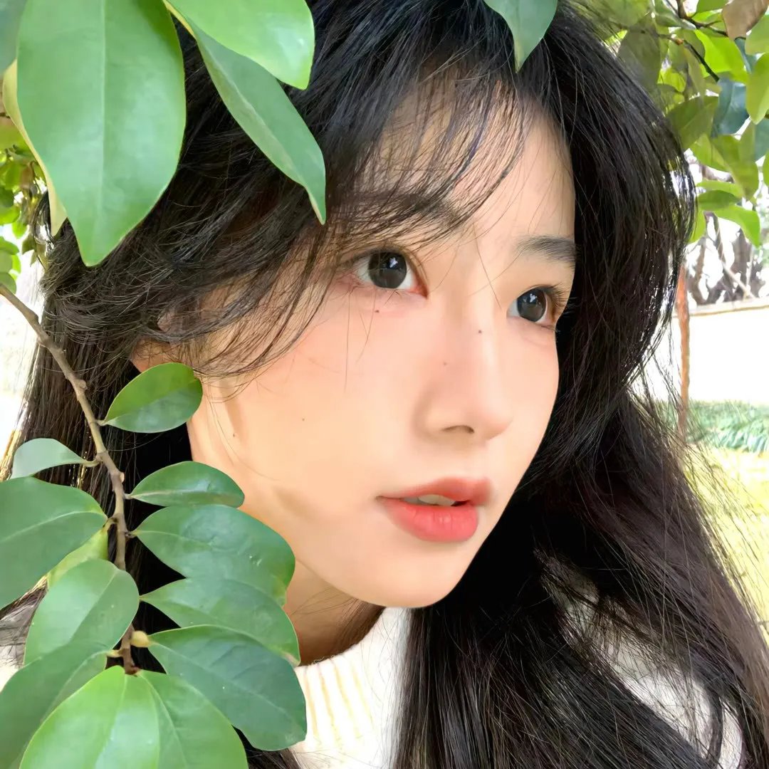 你是我的漫天繁星